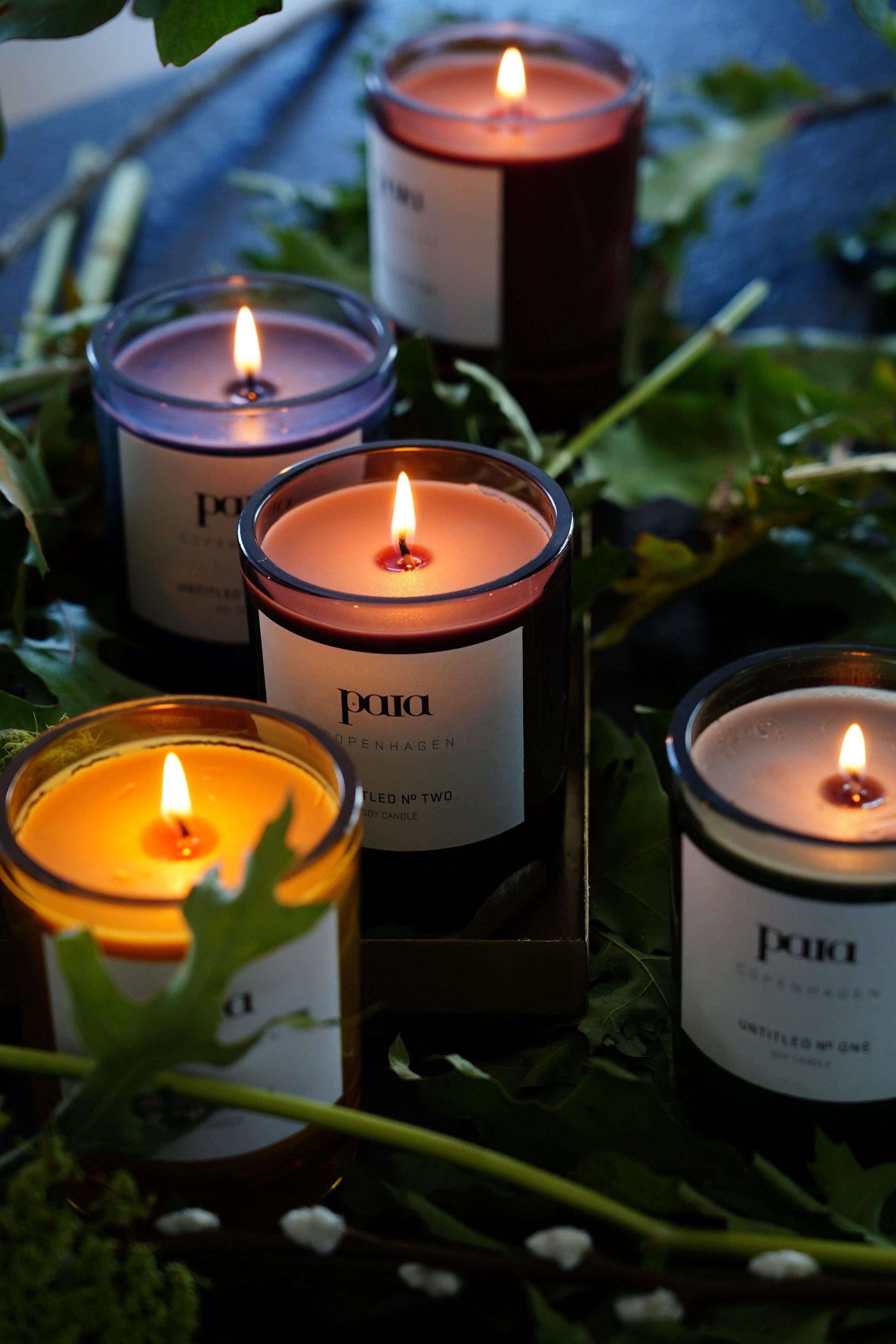 Paia Copenhagen Duftkerze "Eukalyptus & Zedernholz" - XL 300g - noord®